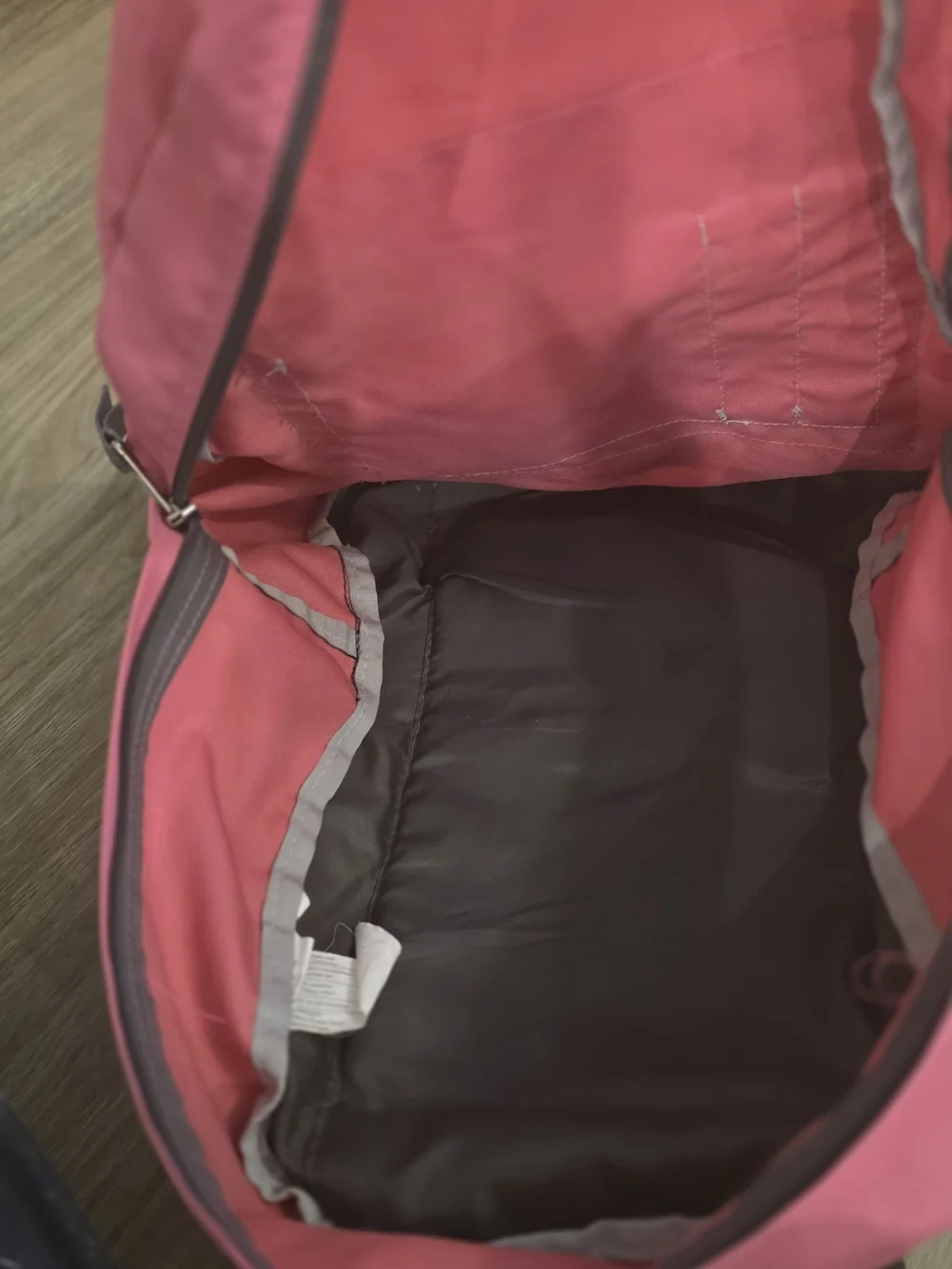 JanSport Pink Classic Backpack